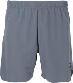 Virtus SPIER M activ Funktionsshorts Herren 2182 Flint Stone