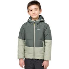 Rückansicht von Jack Wolfskin TWO HILLS INS JACKET K Funktionsjacke Kinder slate green