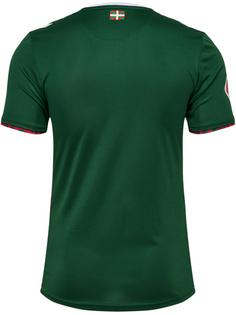 Rückansicht von hummel SDE 24/25 COMMUNITY JERSEY S/S Fanshirt EDEN