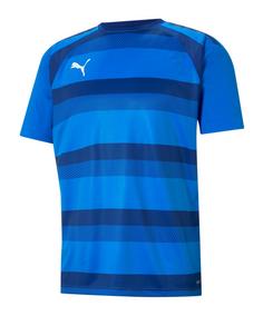 PUMA teamVISION Trikot Fußballtrikot Herren blaublauweiss