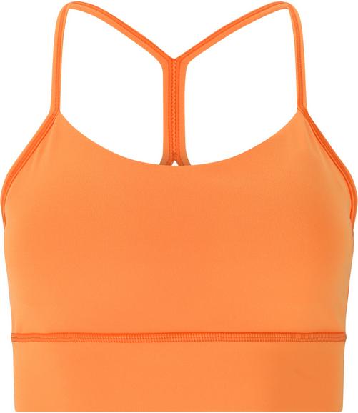 Endurance Raleigh BH Damen