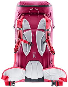 Rückansicht von Deuter Freescape Pro 38+ SL Alpinrucksack Damen ruby hibiscus