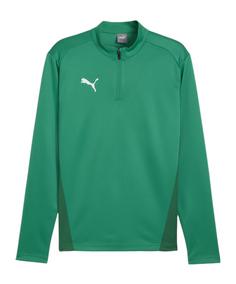 PUMA teamGOAL Training 1/4 Zip Sweatshirt Funktionssweatshirt Herren gruengruen