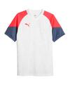 PUMA individualCUP Trikot Funktionsshirt Herren - weiss