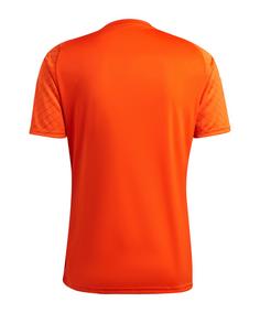 Rückansicht von adidas TSV Hartberg Trikot Away 2023/2024 Kids Fußballtrikot Kinder orange