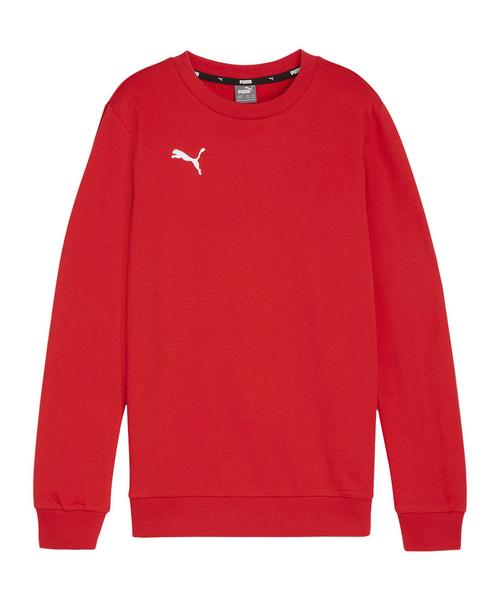 PUMA teamGOAL Casuals Sweatshirt Kids Funktionssweatshirt Kinder