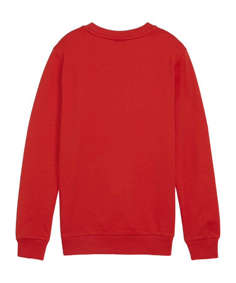 PUMA PUMA teamGOAL Casuals Sweatshirt Kids Funktionssweatshirt Kinder - rotweiss - 0 | SportScheck