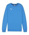 PUMA teamGOAL Casuals Sweatshirt Kids Funktionssweatshirt Kinder - blauweiss