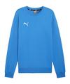 PUMA teamGOAL Casuals Sweatshirt Funktionssweatshirt Herren - blauweiss