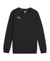 PUMA teamGOAL Casuals Sweatshirt Kids Funktionssweatshirt Kinder - schwarzweiss