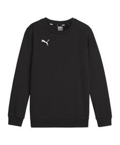 PUMA teamGOAL Casuals Sweatshirt Kids Funktionssweatshirt Kinder schwarzweiss