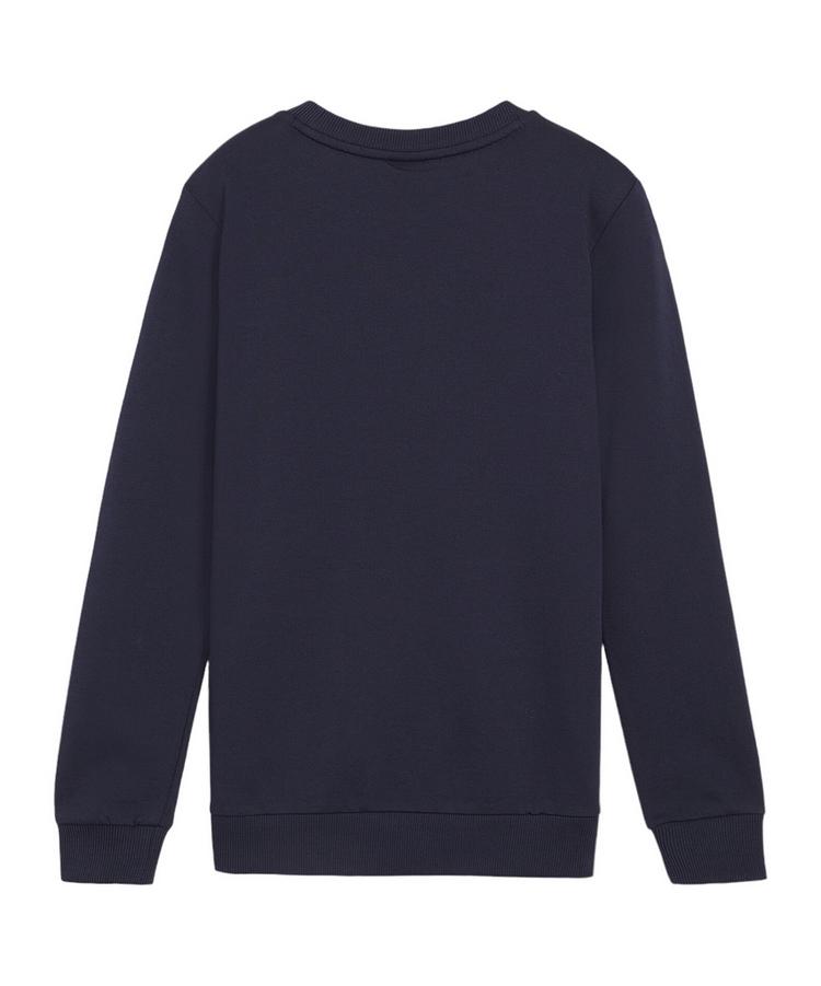 PUMA PUMA teamGOAL Casuals Sweatshirt Kids Funktionssweatshirt Kinder - dunkelblauweiss - 0 | SportScheck