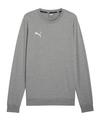 PUMA teamGOAL Casuals Sweatshirt Funktionssweatshirt Herren - grauweiss