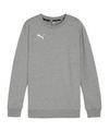 PUMA teamGOAL Casuals Sweatshirt Kids Funktionssweatshirt Kinder - grauweiss