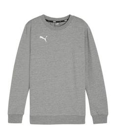 PUMA teamGOAL Casuals Sweatshirt Kids Funktionssweatshirt Kinder grauweiss