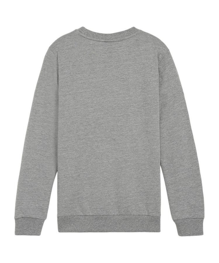 PUMA PUMA teamGOAL Casuals Sweatshirt Kids Funktionssweatshirt Kinder - grauweiss - 0 | SportScheck