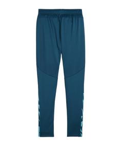 Rückansicht von PUMA individualFINAL Trainingshose Trainingshose Herren gruenblau