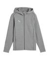 PUMA teamFINAL Casuals Kapuzenjacke Trikot Herren - grausilber