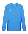 PUMA teamGOAL Trikot Langarm Trikot Herren - blauweissblau