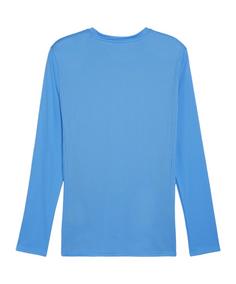 Rückansicht von PUMA teamGOAL Trikot Langarm Fußballtrikot Herren blauweissblau