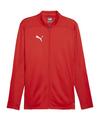 PUMA teamFINAL Trainingsjacke Trainingsjacke Herren - rotsilber
