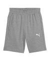 PUMA teamGOAL Casuals Shorts Kids Fu&szlig;ballshorts Kinder - grauweiss