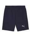 PUMA teamFINAL Casuals Shorts Fu&szlig;ballshorts Herren - dunkelblausilber