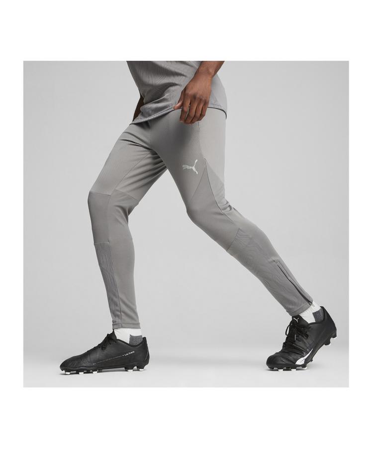 PUMA PUMA teamFINAL Trainingshose Trainingshose Herren - grausilber - 1 | SportScheck