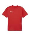 PUMA teamGOAL Trikot Funktionsshirt Herren - rotweissrot