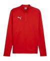 PUMA teamGOAL Training 1/4 Zip Sweatshirt Funktionssweatshirt Herren - rotrot