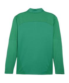 Rückansicht von PUMA teamFINAL Training 1/4 Zip Sweatshirt Fußballtrikot Herren gruensilber