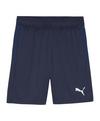 PUMA teamGOAL Training Shorts Fu&szlig;ballshorts Herren - dunkelblauweissblau