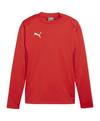 PUMA teamGOAL Training Sweatshirt Funktionssweatshirt Herren - rotweissrot