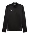 PUMA teamGOAL Training 1/4 Zip Sweatshirt Funktionssweatshirt Herren - schwarzgrau