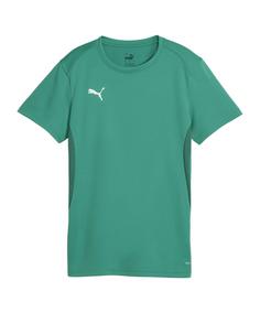 PUMA teamGOAL Trikot Damen T-Shirt Damen gruenweiss