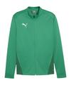 PUMA teamGOAL Trainingsjacke Trainingsjacke Herren - gruenweissgruen
