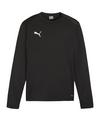 PUMA teamGOAL Training Sweatshirt Funktionssweatshirt Herren - schwarzweissgrau