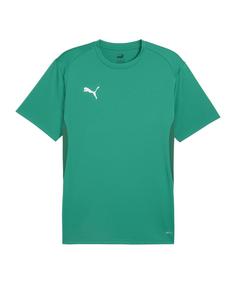 PUMA teamGOAL Trikot Funktionsshirt Herren gruenweissgruen