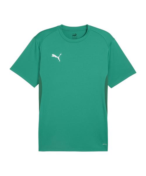 PUMA teamGOAL Trikot Funktionsshirt Herren