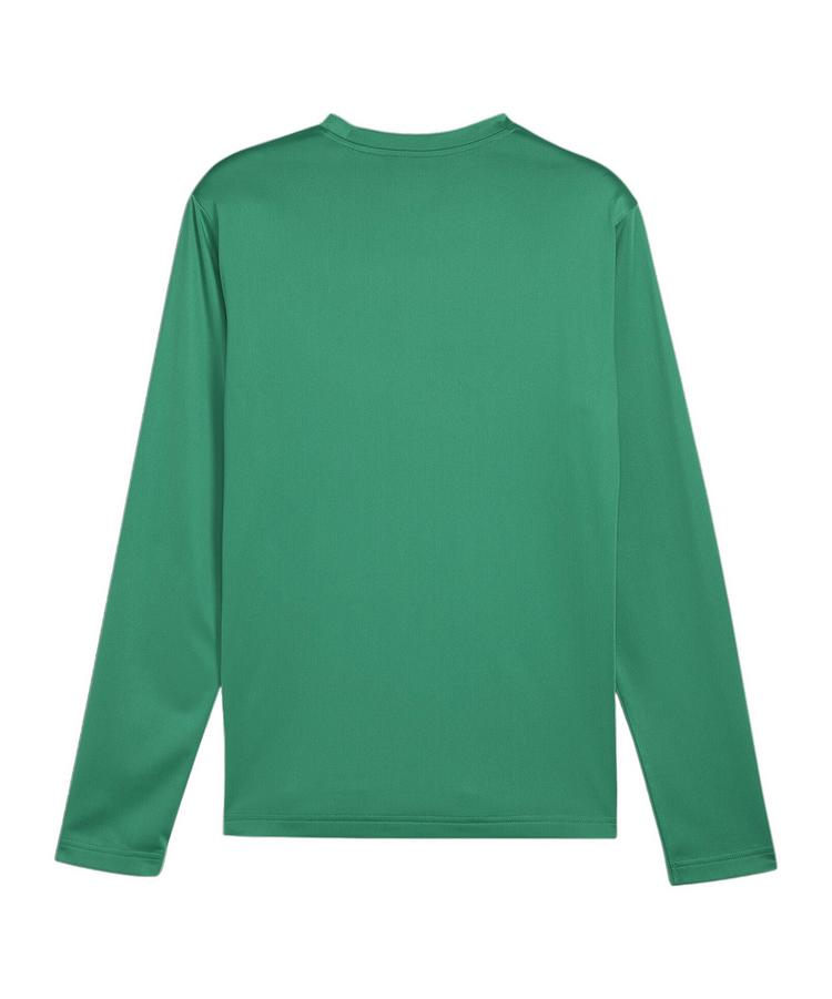 PUMA PUMA teamGOAL Training Sweatshirt Funktionssweatshirt Herren - gruenweiss - 0 | SportScheck