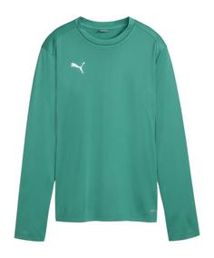 PUMA teamGOAL Training Sweatshirt Damen Funktionssweatshirt Damen gruenweiss