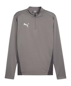 PUMA teamGOAL Training 1/4 Zip Sweatshirt Funktionssweatshirt Herren grauweiss