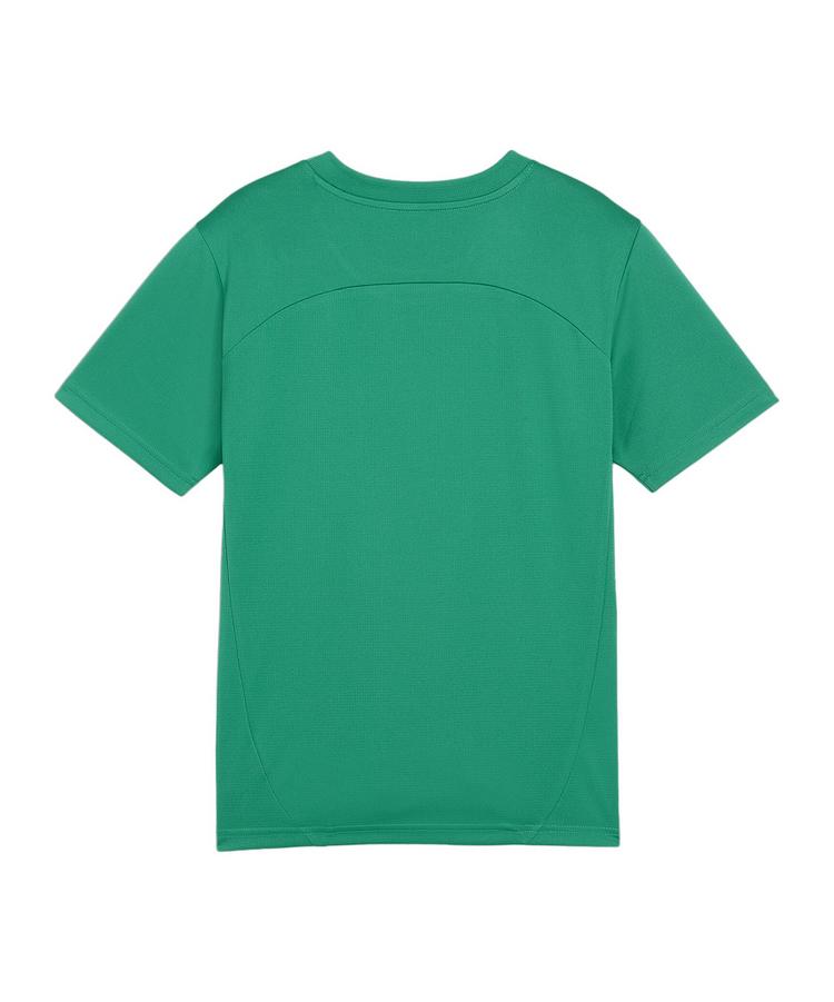 PUMA PUMA teamFINAL Trikot Kids Trikot Kinder - gruensilber - 0 | SportScheck