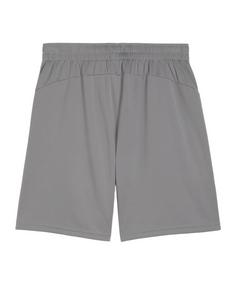 Rückansicht von PUMA teamFINAL Trainingsshorts Fußballshorts Herren grausilber