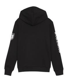 Rückansicht von PUMA Österreich Ftbl Icons Hoody Kids EM 2024 Funktionssweatshirt Kinder schwarz