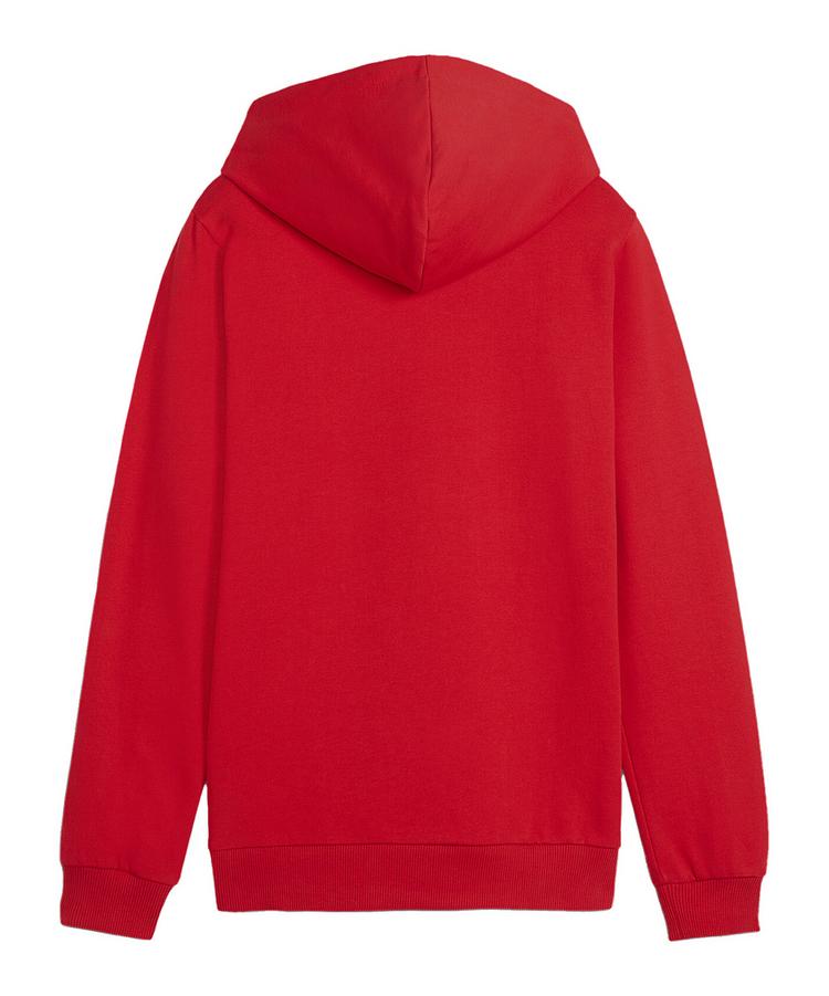 PUMA PUMA teamGOAL Casuals Hoody Kids Funktionssweatshirt Kinder - rotweiss - 0 | SportScheck
