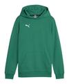 PUMA teamGOAL Casuals Hoody Kids Funktionssweatshirt Kinder - gruenweiss