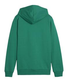 Rückansicht von PUMA teamGOAL Casuals Hoody Kids Funktionssweatshirt Kinder gruenweiss