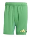 adidas Tiro 24 Pro Torwartshort Torwarthose Herren - gruen