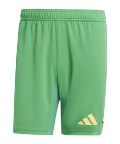 adidas Tiro 24 Pro Torwartshort Torwarthose Herren gruen